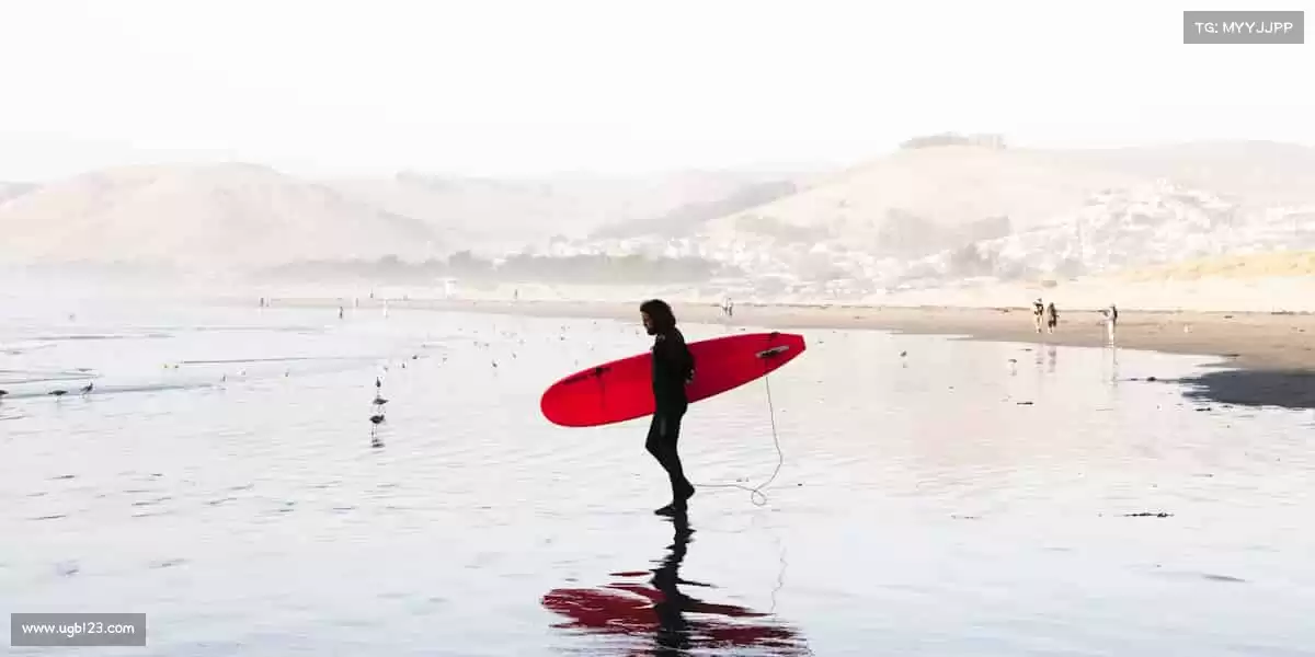 🎁 玩家的笑容,是我们最珍贵的研发成果!